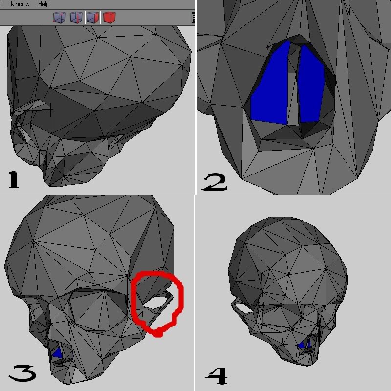 skull_progress.jpg